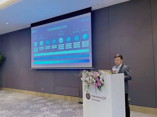 2025年度harmonyos connect伙伴峰會暨芯?？萍挤终搲瘓A滿落幕