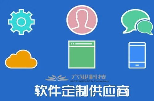 企業(yè)青睞定制開(kāi)發(fā) 軟件定制熱度為何急劇上升？